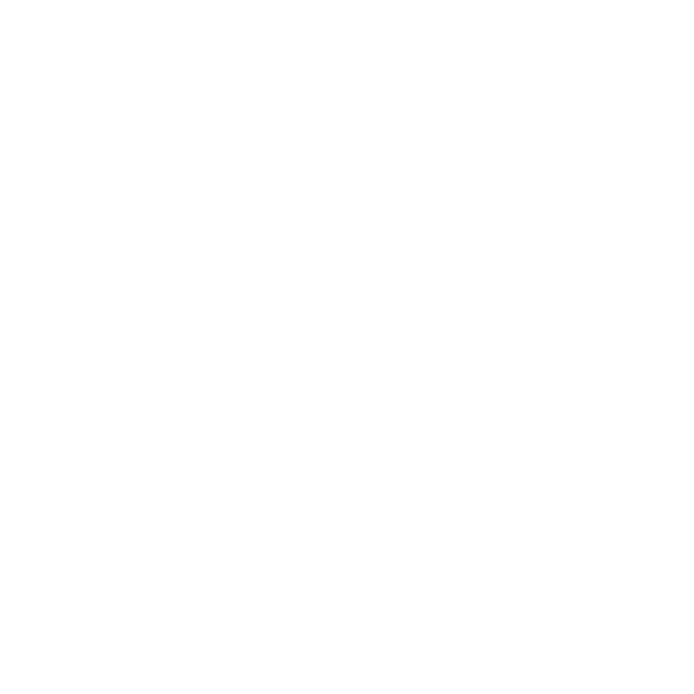 MMT logo